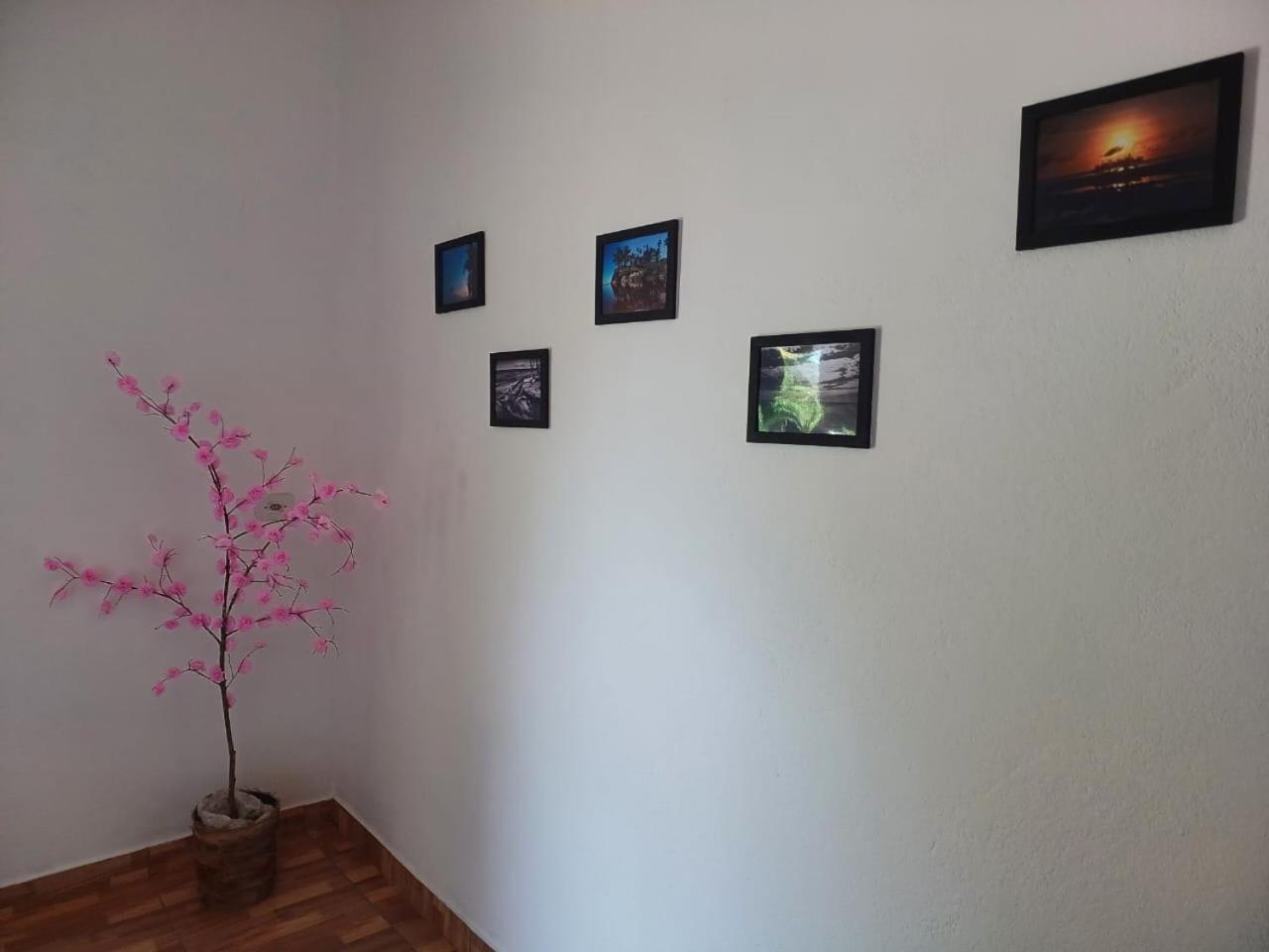 Casa Jubarte Villa Кумуруксатиба Екстериор снимка